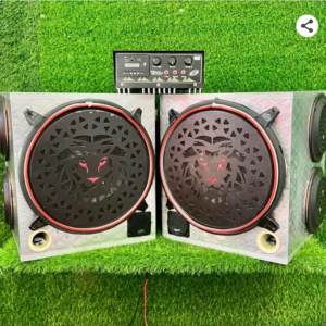 12 inch choras subwoofer set 1