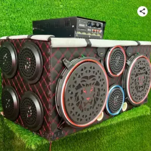 12 inch subwoofer petti 1