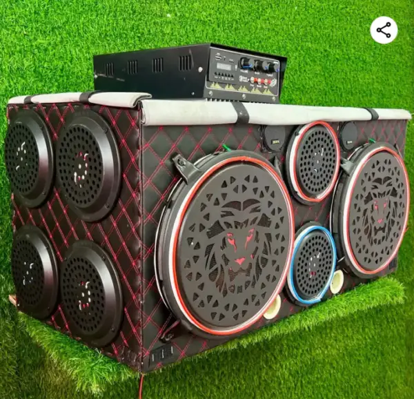 12 inch subwoofer petti 1