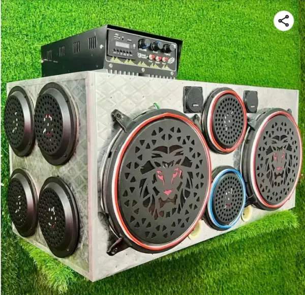 12 inch subwoofer petti 1