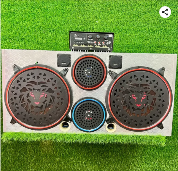 12 inch subwoofer petti 3