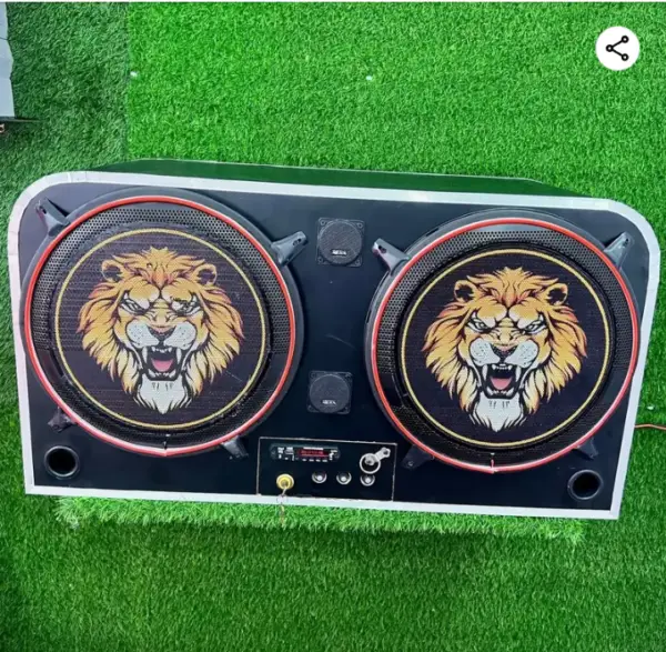 15 inch woofer petti 1