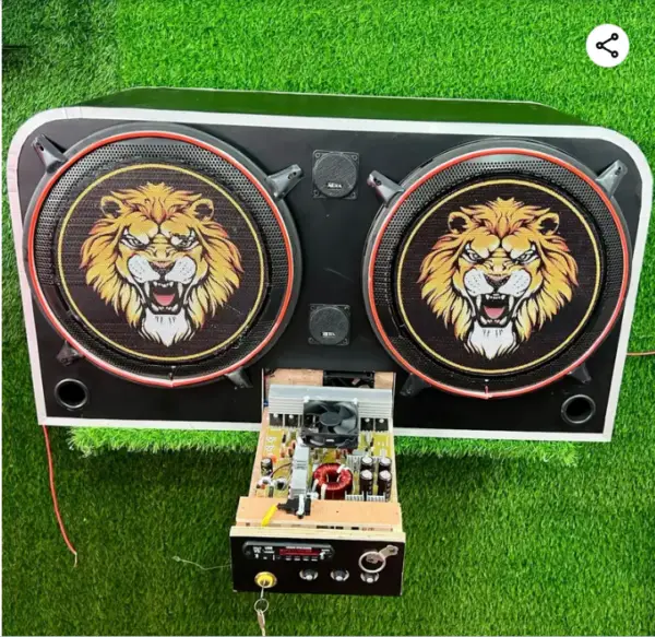 15 inch woofer petti 2